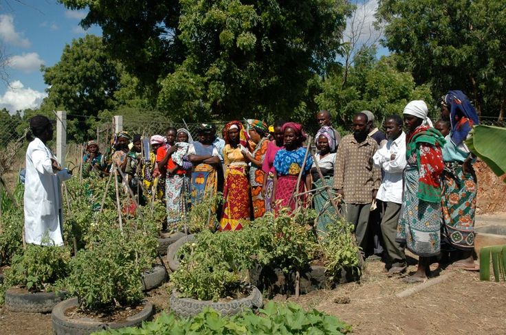 Farmer training session