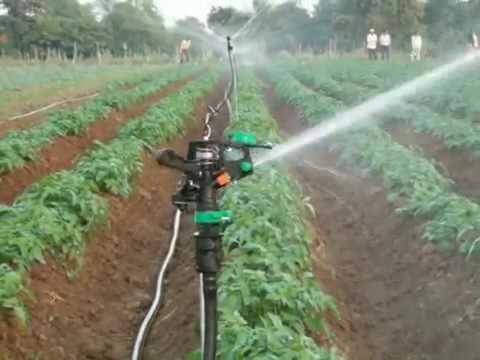 Professional irrigation system installation