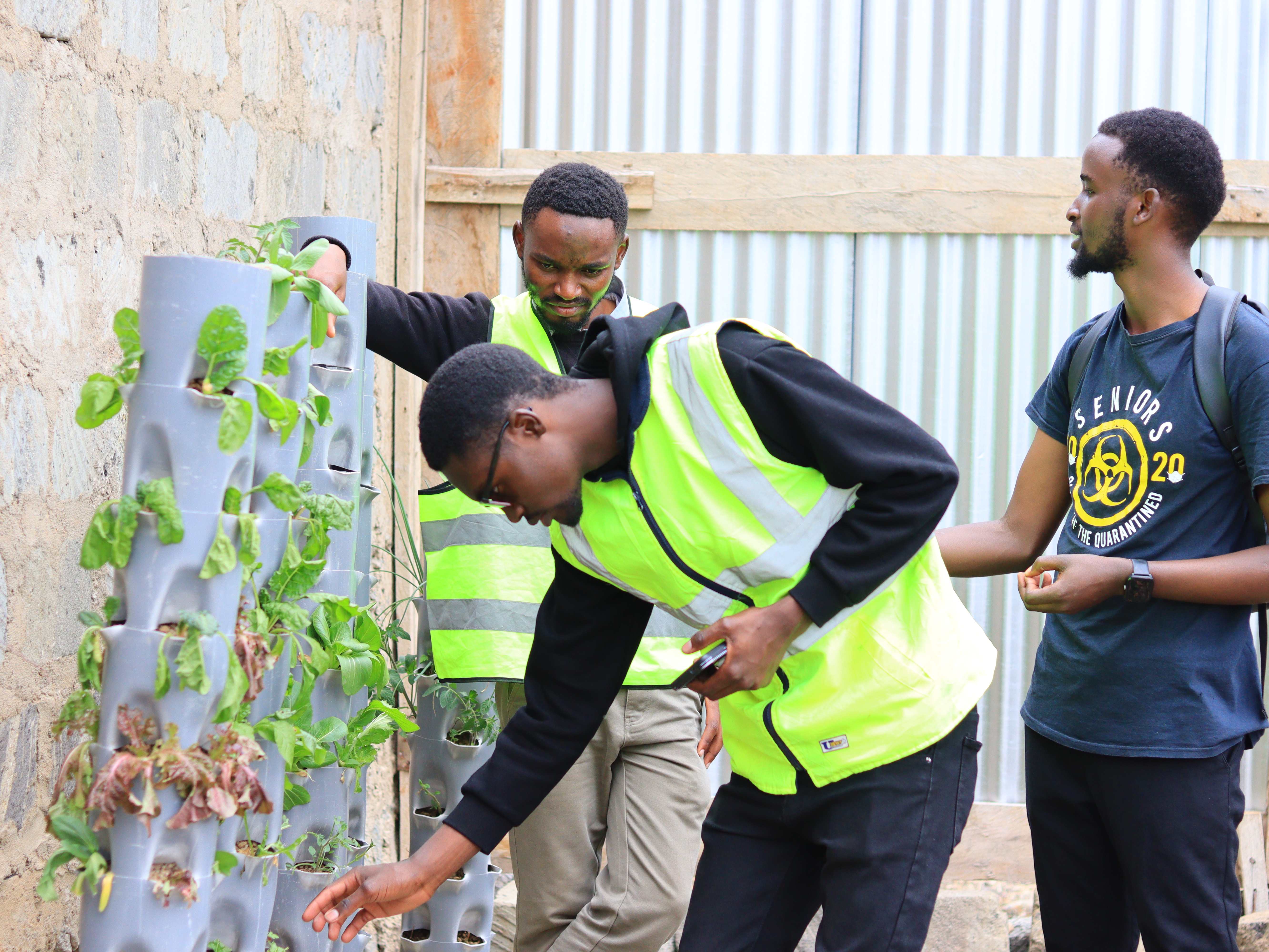 Team working on hydroponic installation